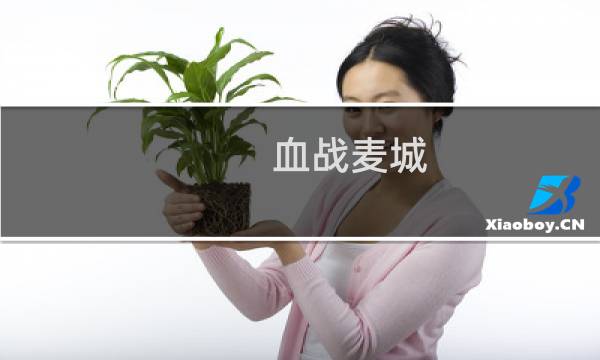 血战麦城 攻略
