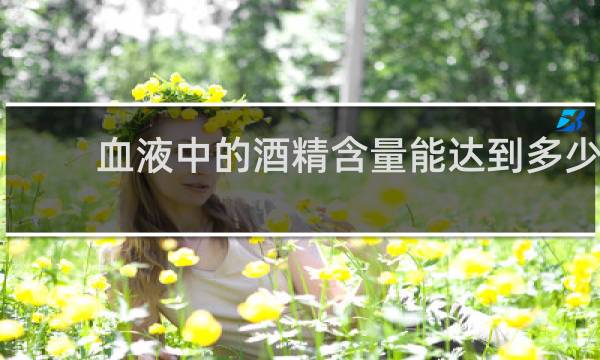 血液中的酒精含量能达到多少?
