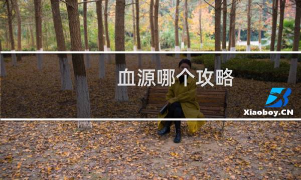 血源哪个攻略