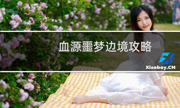 血源噩梦边境攻略