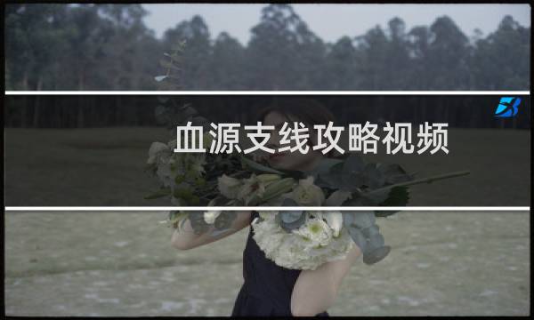 血源支线攻略视频