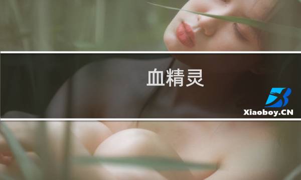 血精灵 攻略