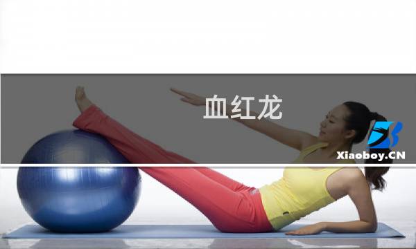 血红龙 攻略