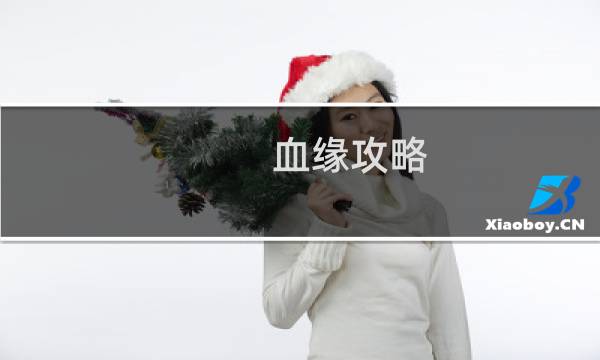 血缘攻略 老猎人 攻略