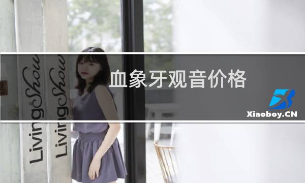血象牙观音价格