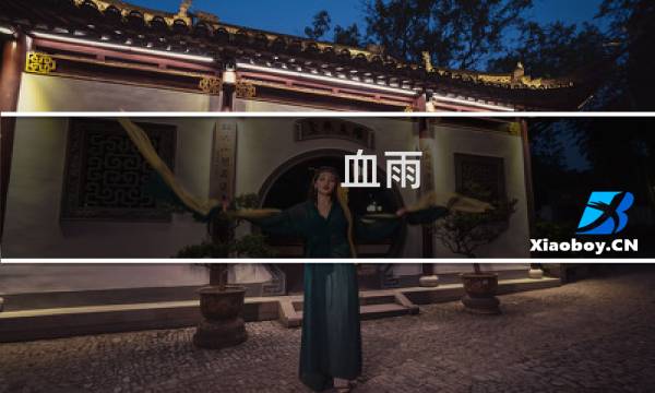 血雨 攻略