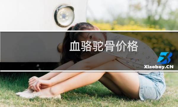 血骆驼骨价格
