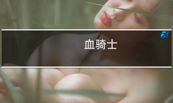 血骑士 攻略
