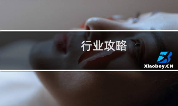 行业攻略