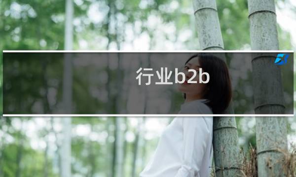 行业b2b 优势