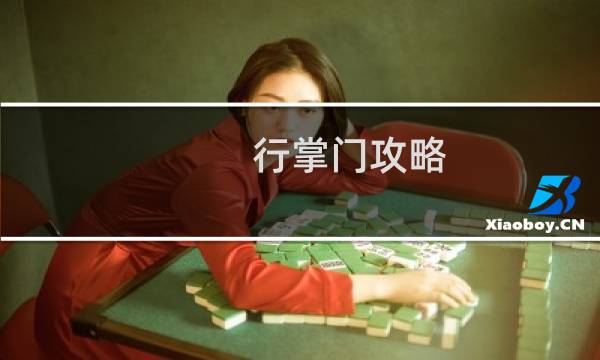 行掌门攻略