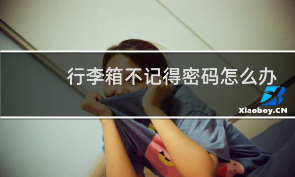 行李箱不記得密碼怎么辦