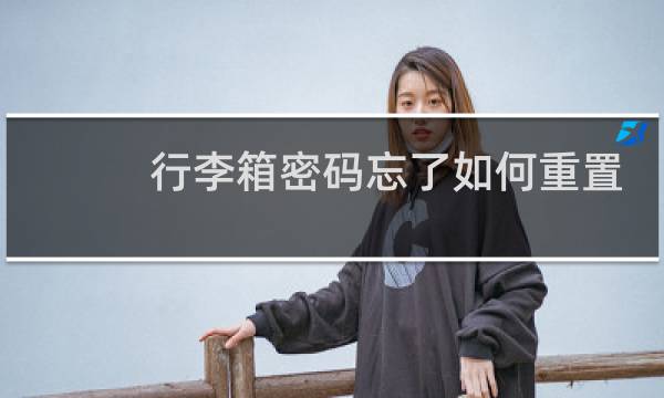 行李箱密码忘了如何重置