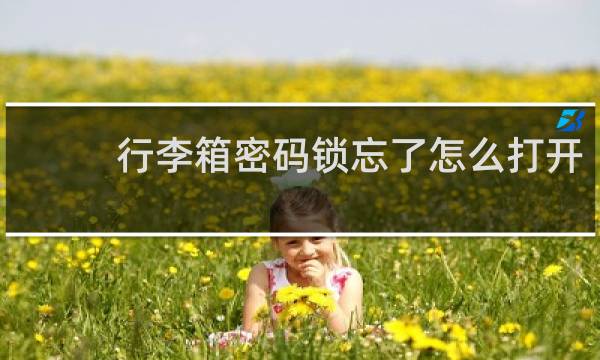 行李箱密码锁忘了怎么打开