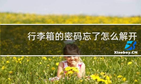 行李箱的密码忘了怎么解开