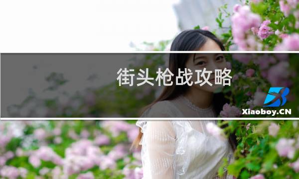 街头枪战攻略