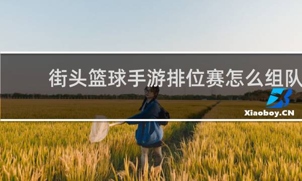 街头篮球手游排位赛怎么组队