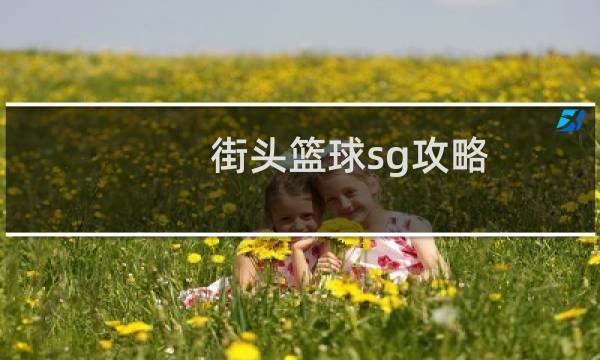 街头篮球sg攻略