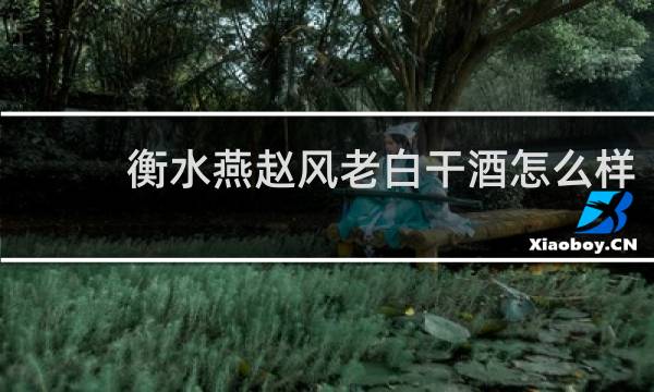 衡水燕赵风老白干酒怎么样