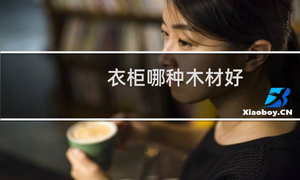 衣柜哪种木材好