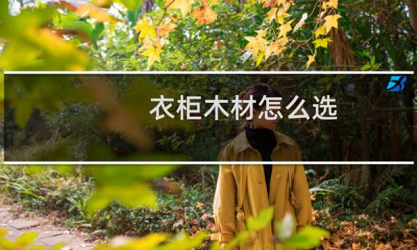 衣柜木材怎么选