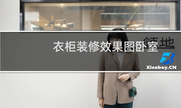 衣柜装修效果图卧室