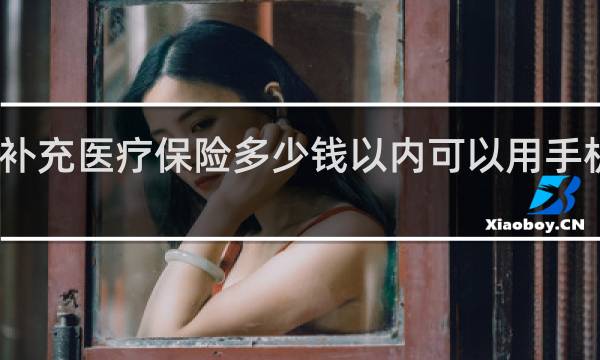 补充医疗保险多少钱以内可以用手机保险