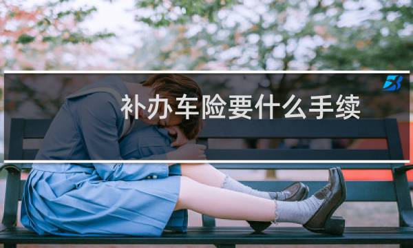 补办车险要什么手续