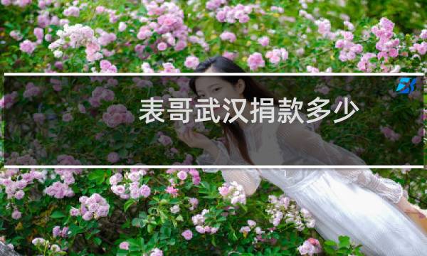 表哥武汉捐款多少