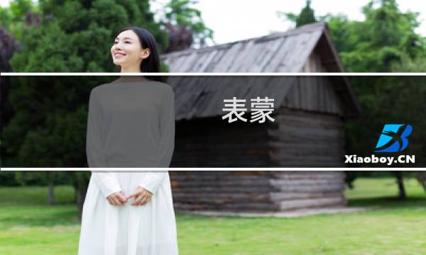 表蒙 价格