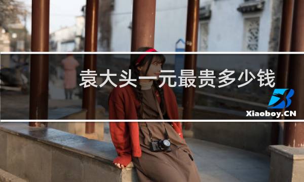 袁大头一元最贵多少钱