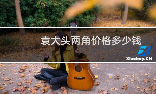 袁大头两角价格多少钱