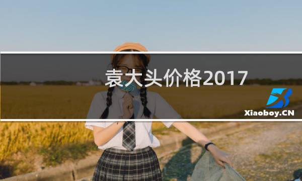 袁大头价格2017