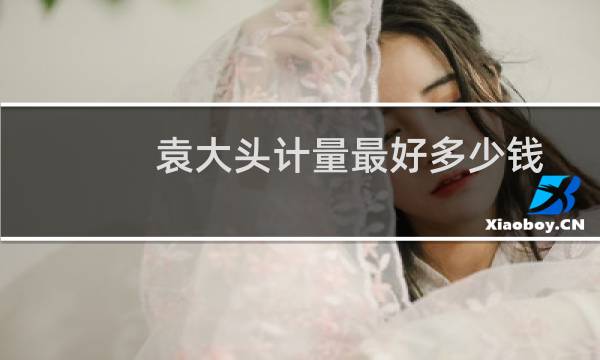 袁大头计量最好多少钱