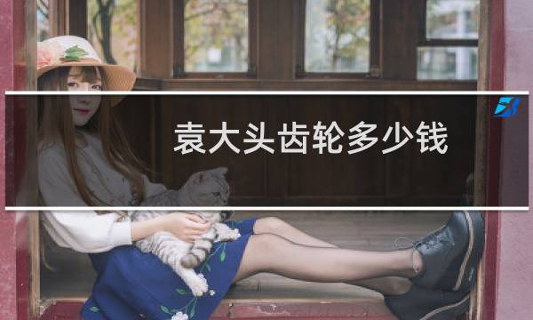 袁大头齿轮多少钱