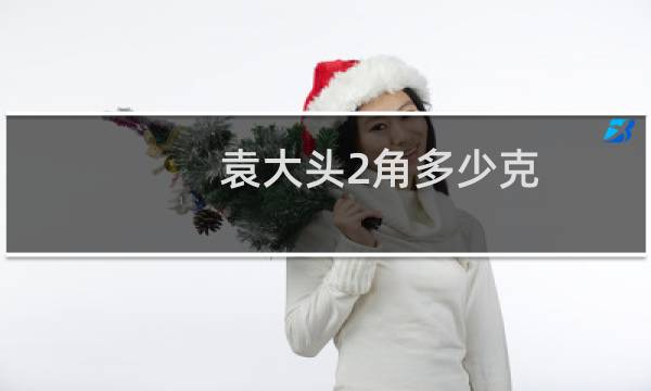 袁大头2角多少克