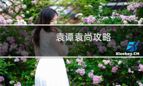 袁谭袁尚攻略