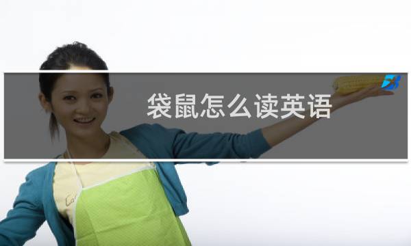 袋鼠怎么读英语