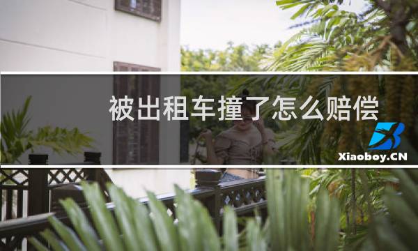 被出租车撞了怎么赔偿