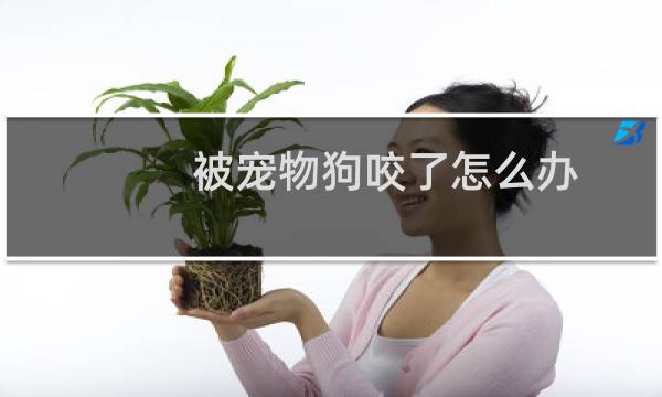 被宠物狗咬了怎么办