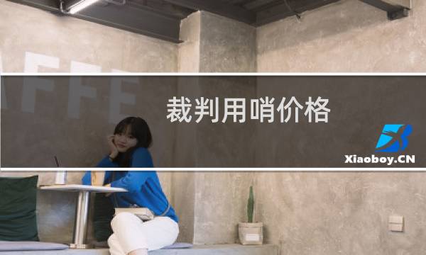 裁判用哨价格