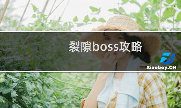 裂隙boss攻略