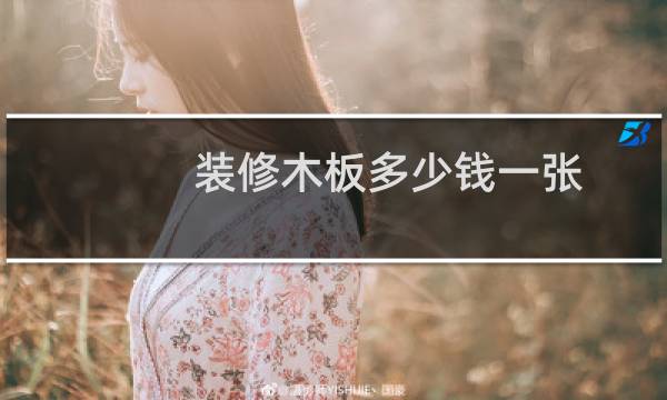 装修木板多少钱一张