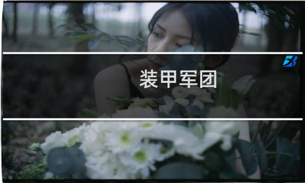 装甲军团 非洲雄狮攻略