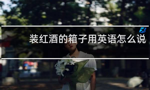 装红酒的箱子用英语怎么说