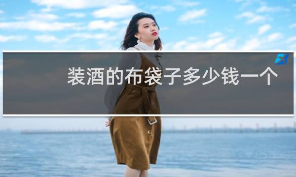 装酒的布袋子多少钱一个