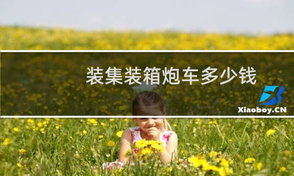 装集装箱炮车多少钱