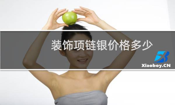 装饰项链银价格多少