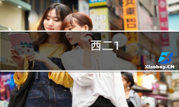 西二1.19攻略
