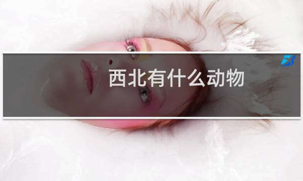 西北有什么动物